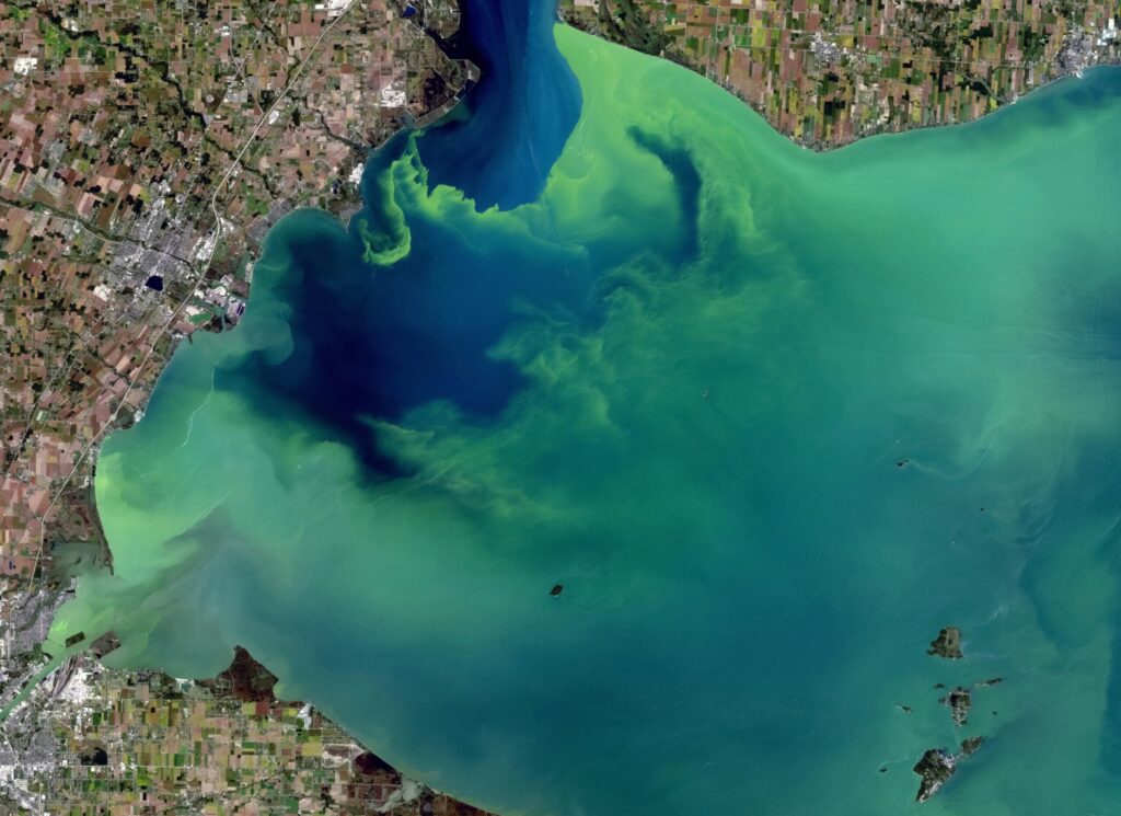 A satellite view of a large lake where bright green swirls of algae spread through deep blue and teal water, bordered by a patchwork of farmland and towns along the shore.